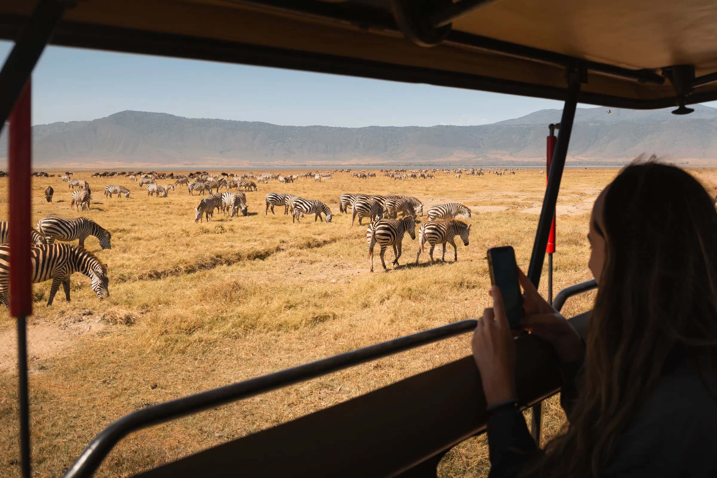Guest photographing zebras in the Ngorongoro Crater