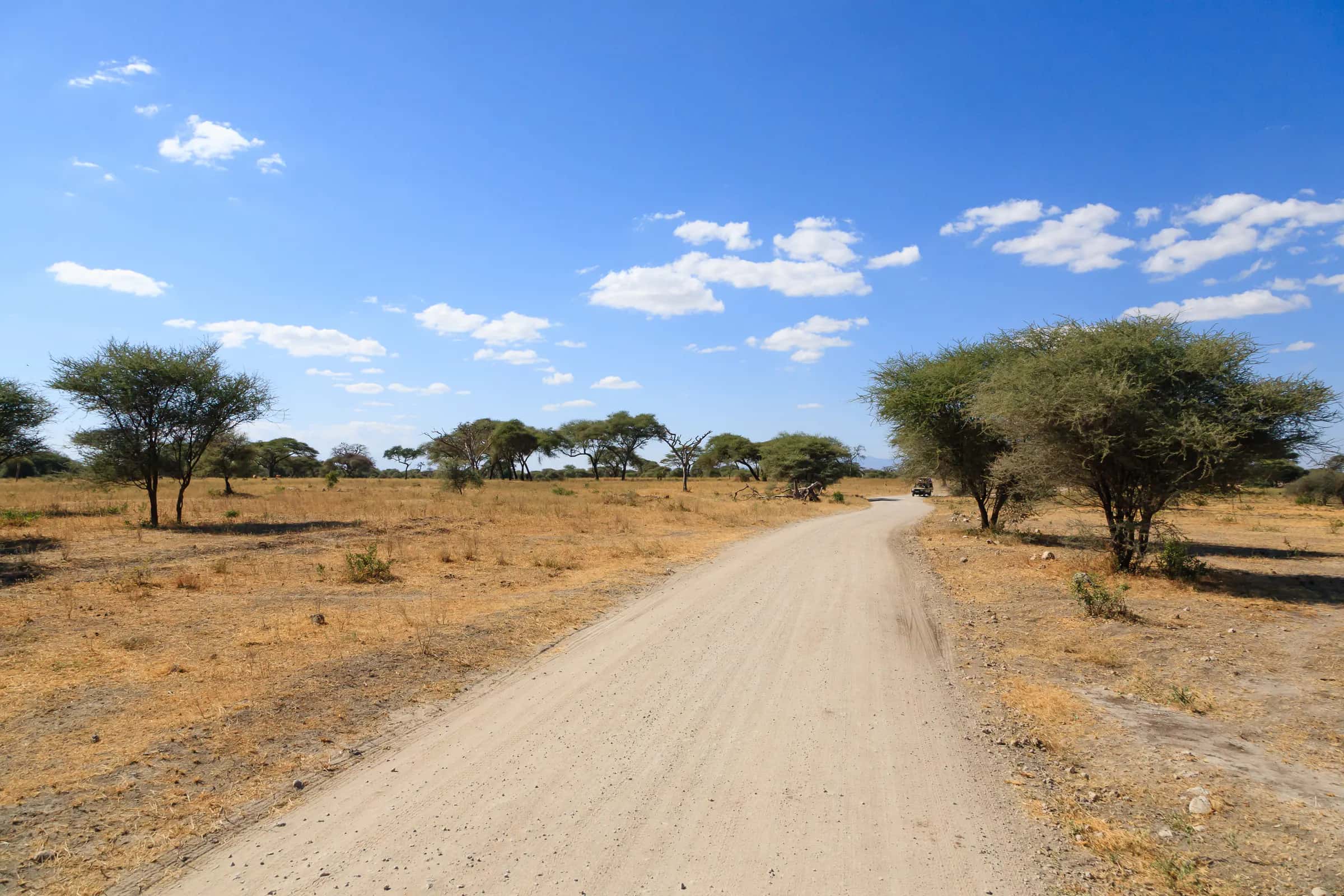 Sandy track through dry acacia country in Tarangire