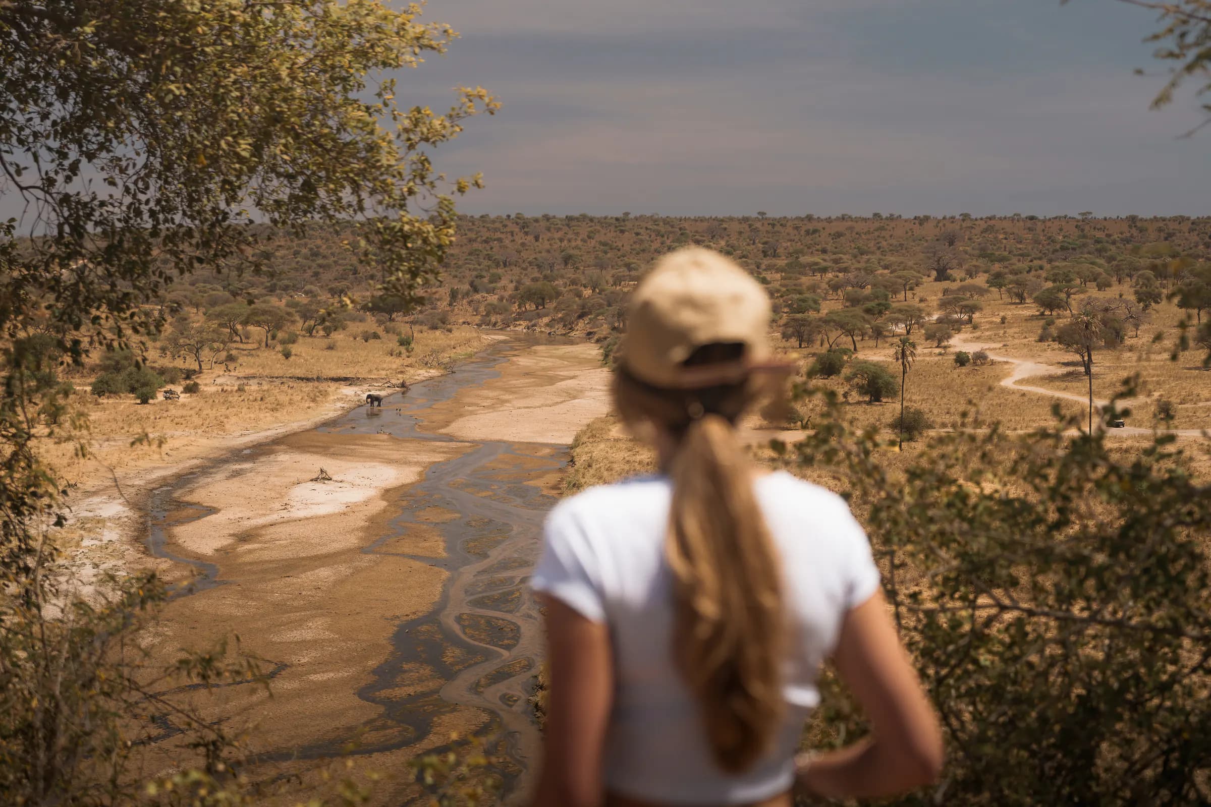 Guest looking out over the Tarangire river valley